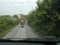 Immagine 346.jpg