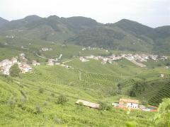 Immagine 355.jpg