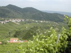 Immagine 356.jpg