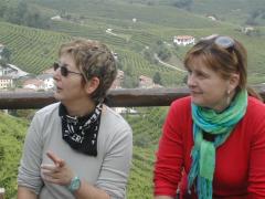 Immagine 363.jpg