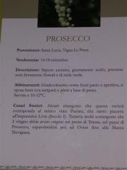 2_ RAID del Prosecco _S_Lucia di Piave_ 029.jpg