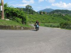 Immagine 104.jpg