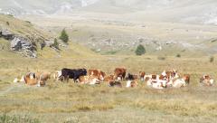 raid abruzzo 2014 740.JPG