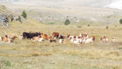 raid abruzzo 2014 741.JPG