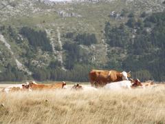 raid abruzzo 2014 760.JPG