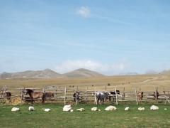586684d867db3-raidabruzzo2014768.JPG
