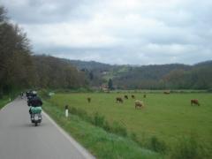 DSC00022.JPG