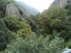 DSC01392.JPG
