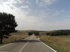 DSC01398.JPG