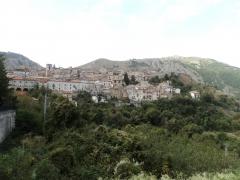 DSC01406.JPG