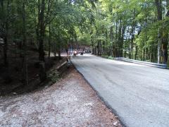 DSC01432.JPG
