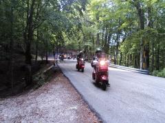 DSC01433.JPG
