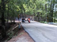 DSC01435.JPG