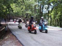DSC01438.JPG