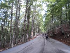 DSC01442.JPG