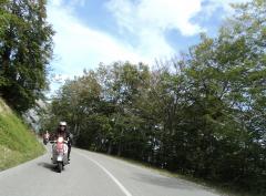DSC01446.JPG