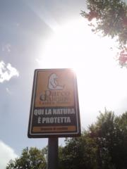 DSC01451.JPG