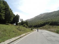 DSC01453.JPG