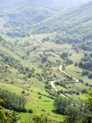 DSC01470.JPG