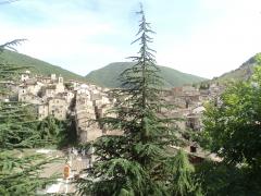 DSC01480.JPG