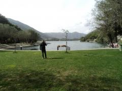 DSC01481.JPG