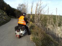 DSC01527.JPG