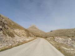 DSC01598.JPG