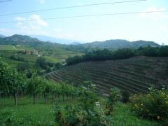 DSC03616.JPG