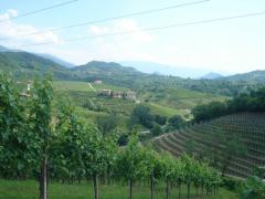 DSC03620.JPG