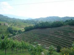DSC03621.JPG