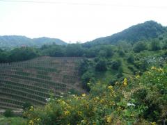 DSC03622.JPG
