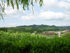 DSCN0175.JPG