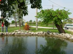 DSCN0307.JPG