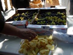 DSCN0346.JPG