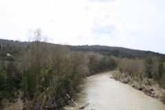IMG_5542.JPG