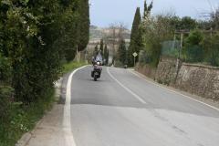 IMG_5578.JPG