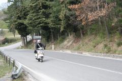 IMG-5611.JPG