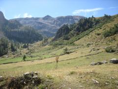 IMG_6941.JPG