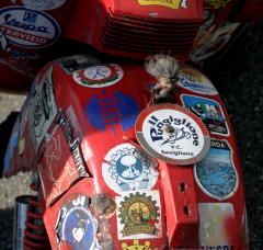 IMG_8553.JPG
