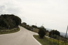 _MG_5503.JPG