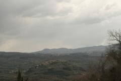 _MG_5582.JPG