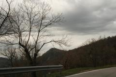 _MG_5629.JPG