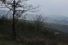 _MG_5653.JPG