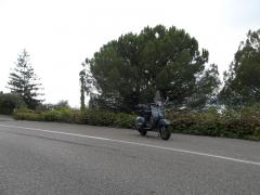 100_0833_risultato.jpg