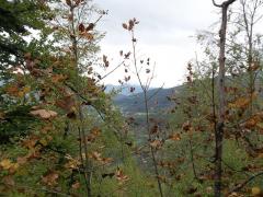 100_0862_risultato.jpg