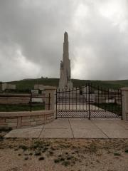 100_0868_risultato.jpg