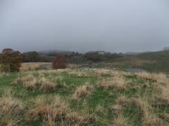 100_0879_risultato.jpg