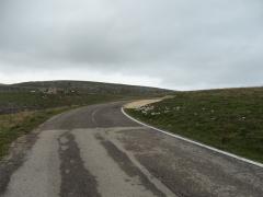 100_0886_risultato.jpg