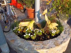 100_1692.JPG
