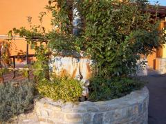 100_1694.JPG